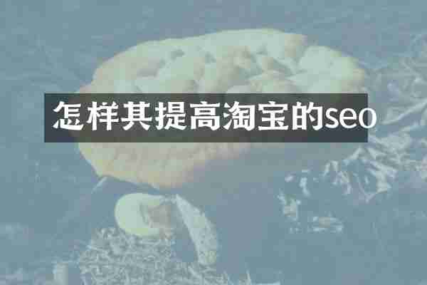 怎样其提高淘宝的seo