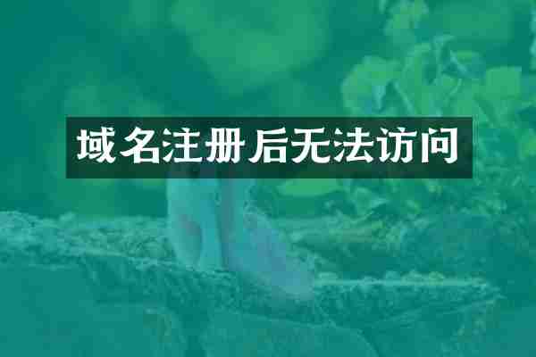 域名注册后无法访问