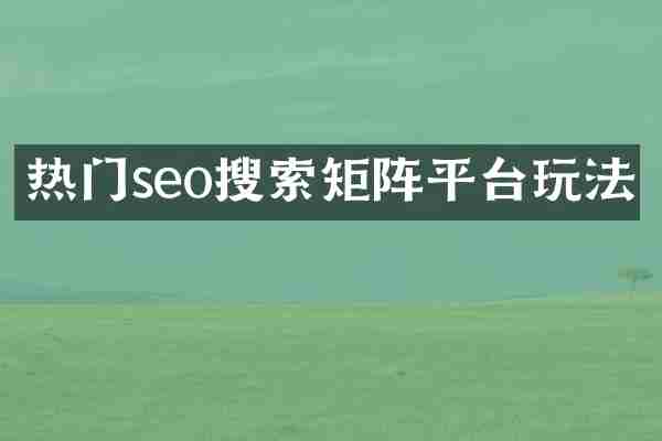 热门seo搜索矩阵平台玩法
