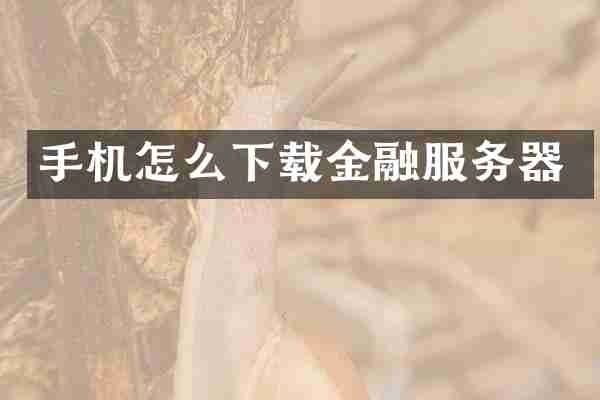 手机怎么下载金融服务器