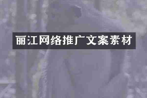 丽江网络推广文案素材