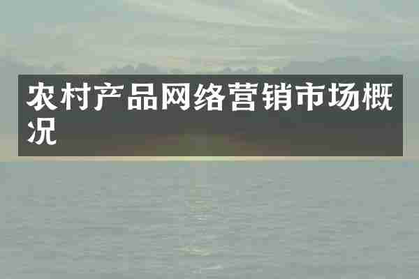 农村产品网络营销市场概况