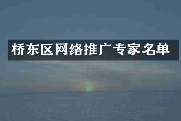 桥东区网络推广专家名单
