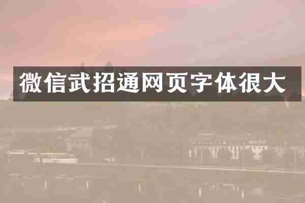 微信武招通网页字体很大