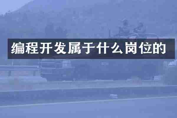 编程开发属于什么岗位的