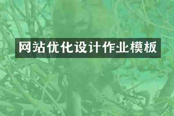 网站优化设计作业模板