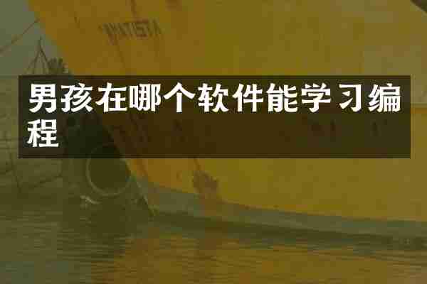 男孩在哪个软件能学习编程