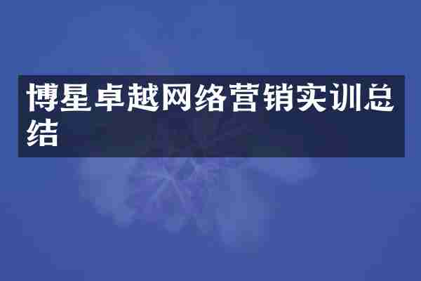博星卓越网络营销实训总结
