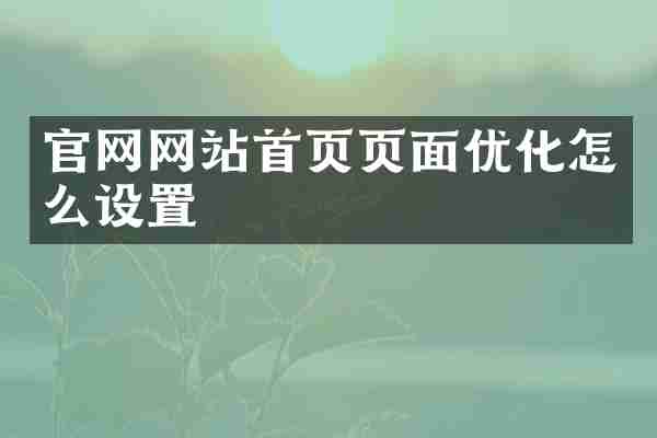 官网网站首页页面优化怎么设置
