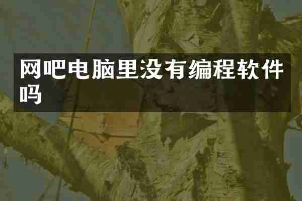 网吧电脑里没有编程软件吗