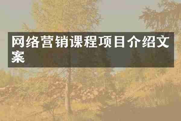 网络营销课程项目介绍文案