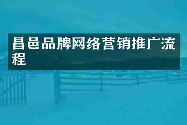 昌邑品牌网络营销推广流程