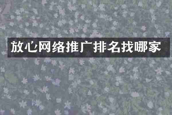 放心网络推广排名找哪家