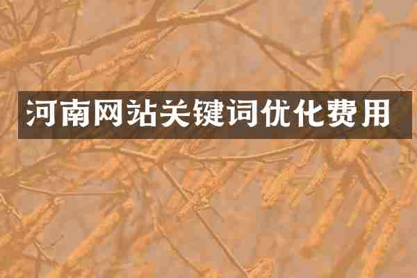 河南网站关键词优化费用