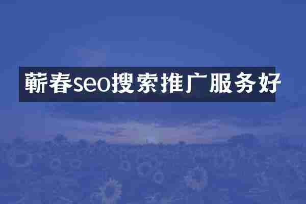 蕲春seo搜索推广服务好
