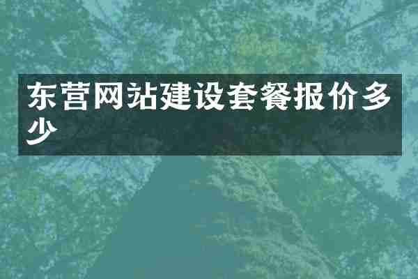 东营网站建设套餐报价多少