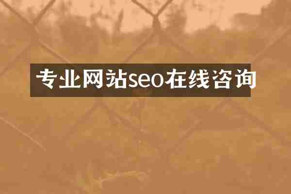 专业网站seo在线咨询
