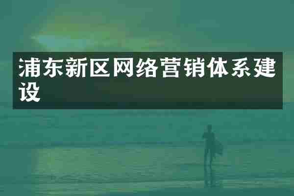 浦东新区网络营销体系建设