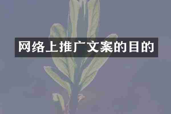 网络上推广文案的目的