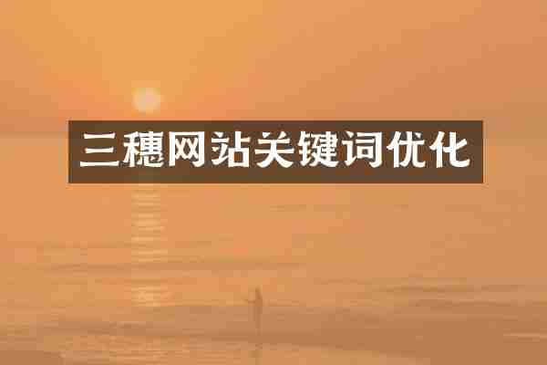 三穗网站关键词优化