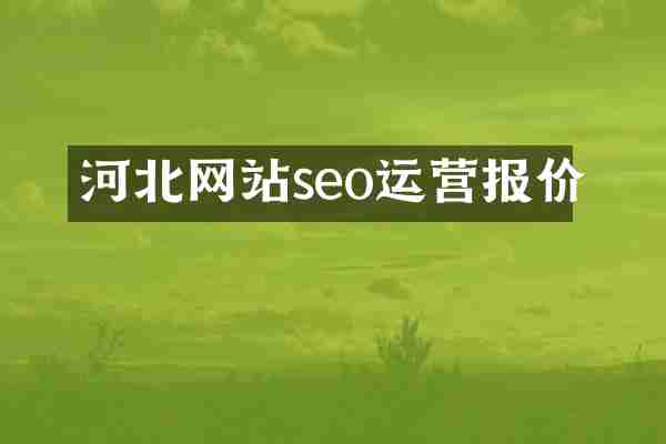 河北网站seo运营报价