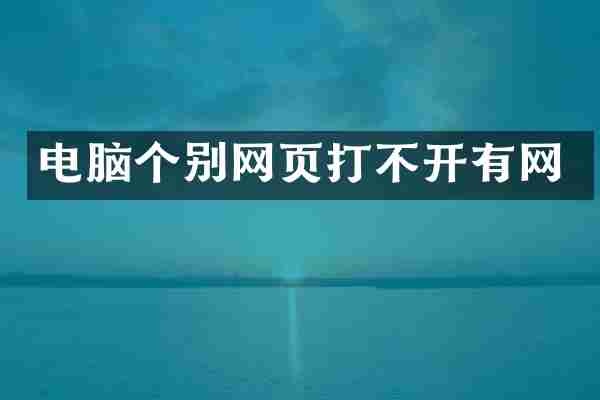 电脑个别网页打不开有网