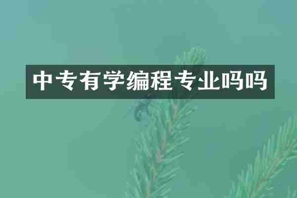 中专有学编程专业吗吗