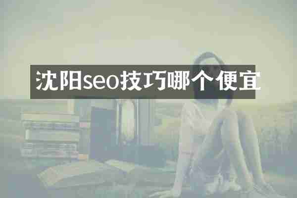 沈阳seo技巧哪个便宜