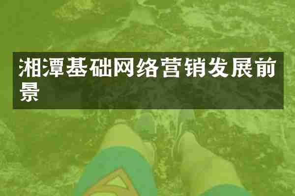 湘潭基础网络营销发展前景