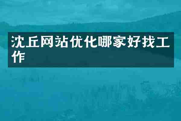 沈丘网站优化哪家好找工作