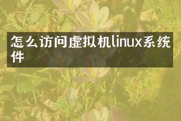 怎么访问虚拟机linux系统文件