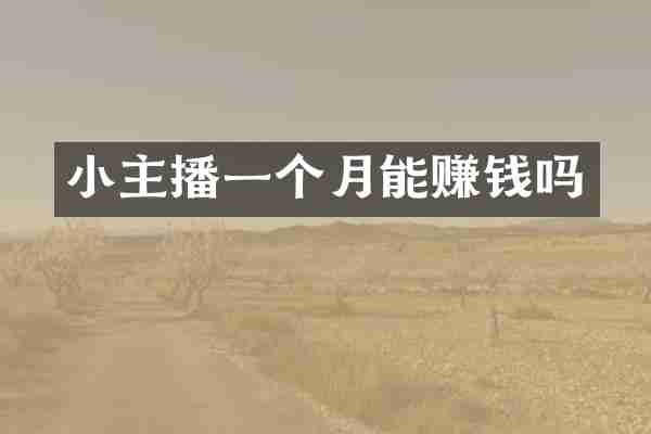 小主播一个月能赚钱吗