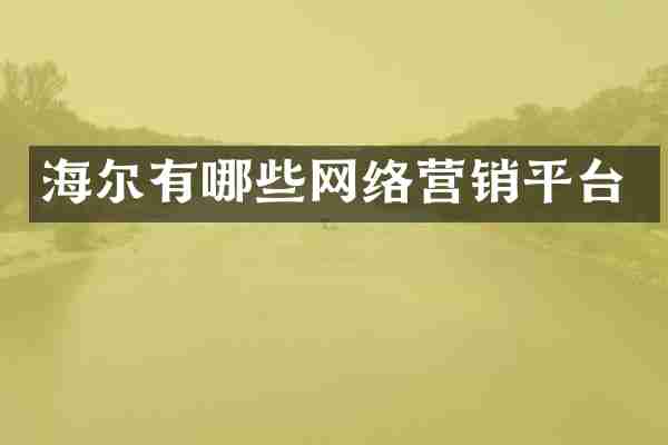 海尔有哪些网络营销平台