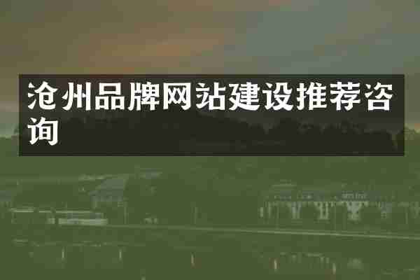 沧州品牌网站建设推荐咨询