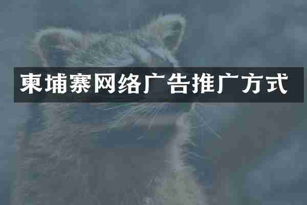 柬埔寨网络广告推广方式