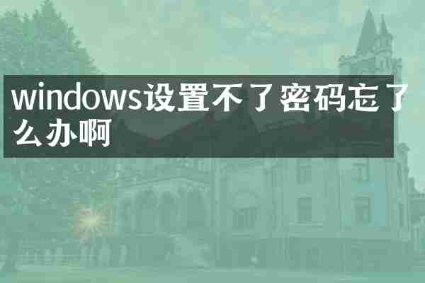 windows设置不了密码忘了怎么办啊