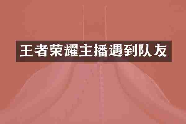 王者荣耀主播遇到队友