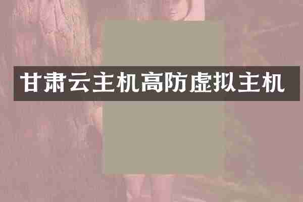 甘肃云主机高防虚拟主机