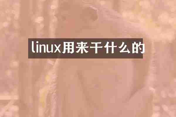 linux用来干什么的