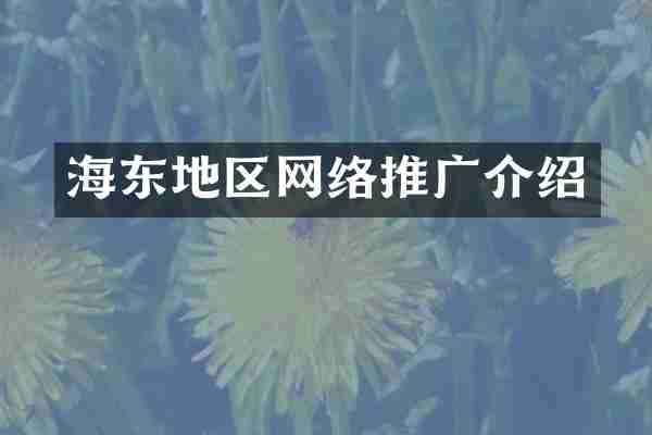 海东地区网络推广介绍