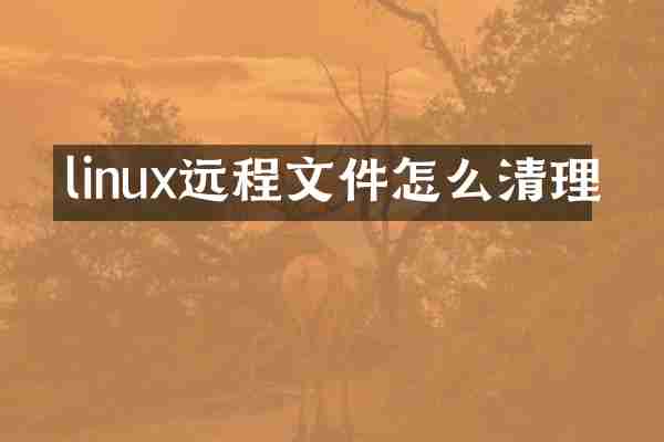 linux远程文件怎么清理