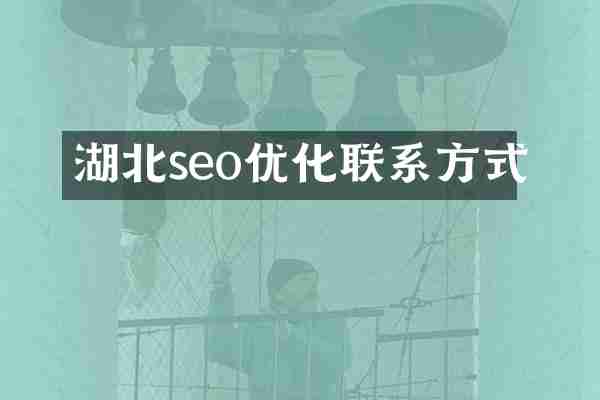 湖北seo优化联系方式