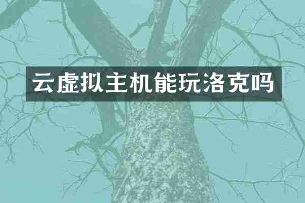 云虚拟主机能玩洛克吗