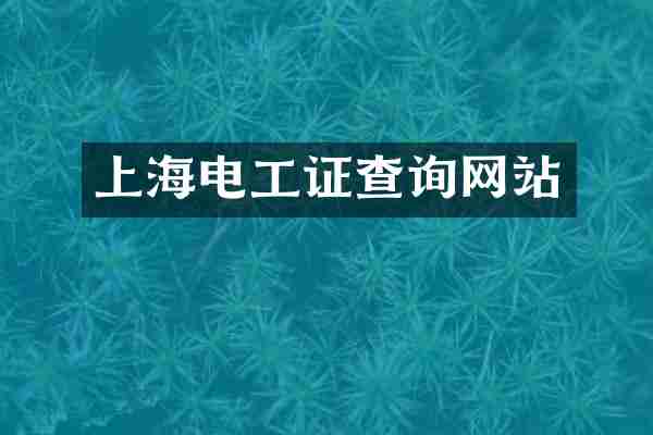 上海电工证查询网站