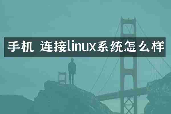 手机 连接linux系统怎么样