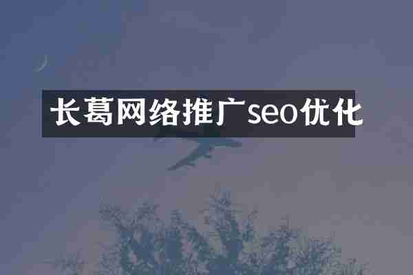 长葛网络推广seo优化