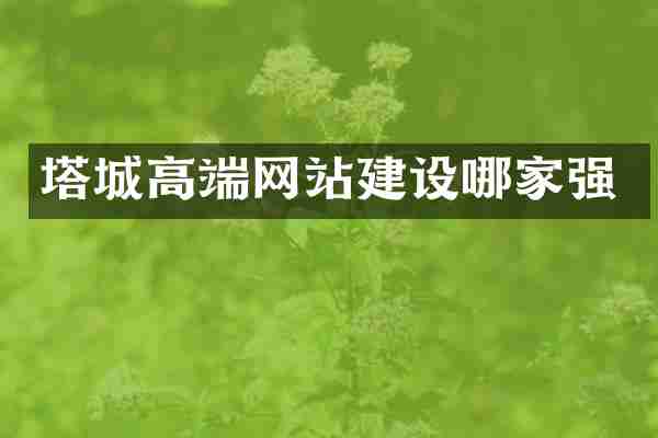 塔城高端网站建设哪家强