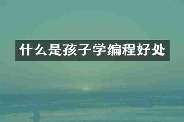 什么是孩子学编程好处