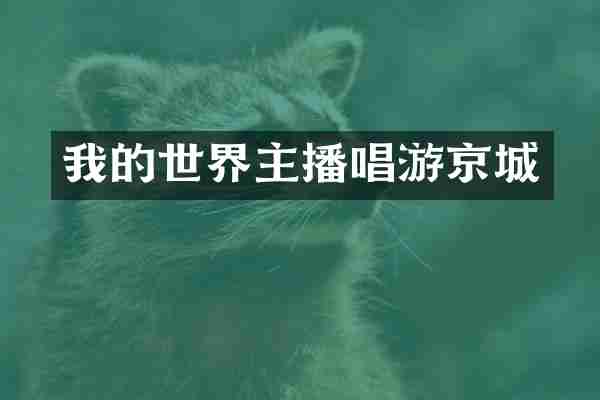 我的世界主播唱游京城