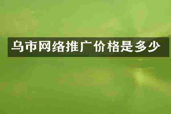 乌市网络推广价格是多少